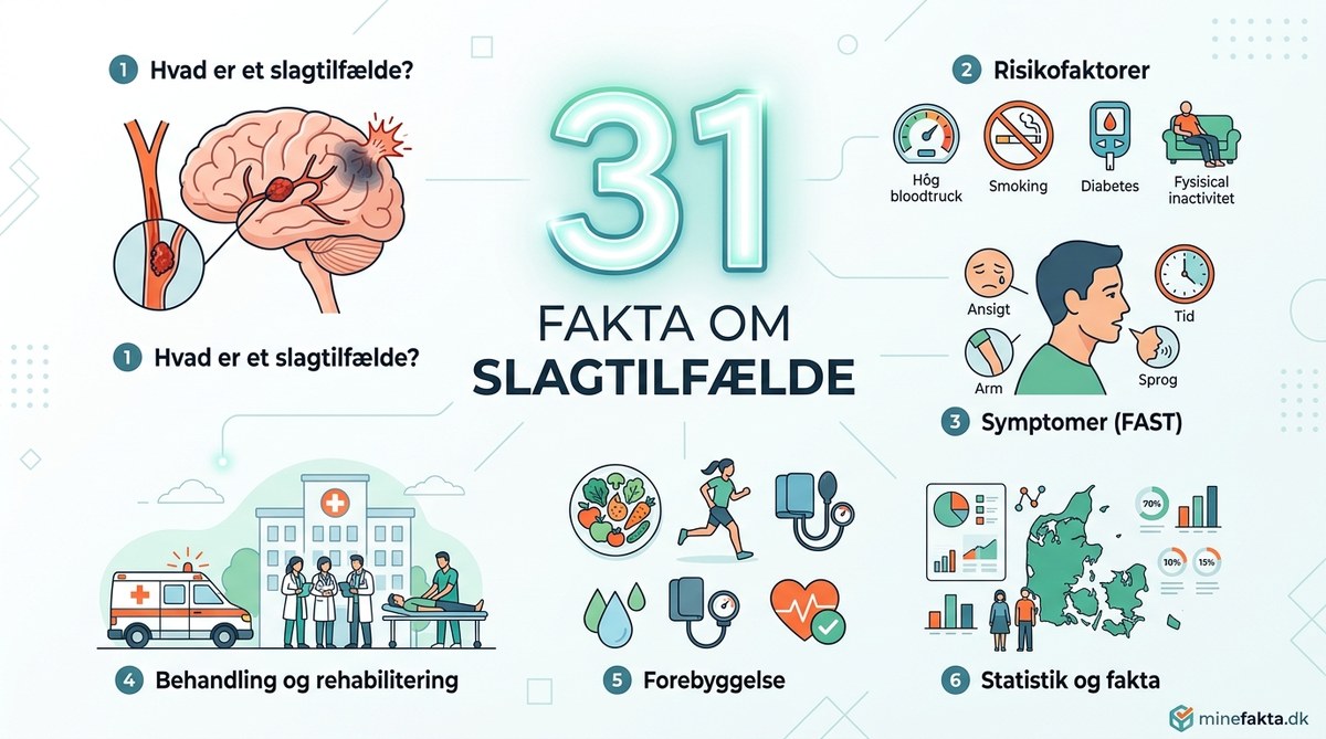 31 Fakta Om Slagtilfælde