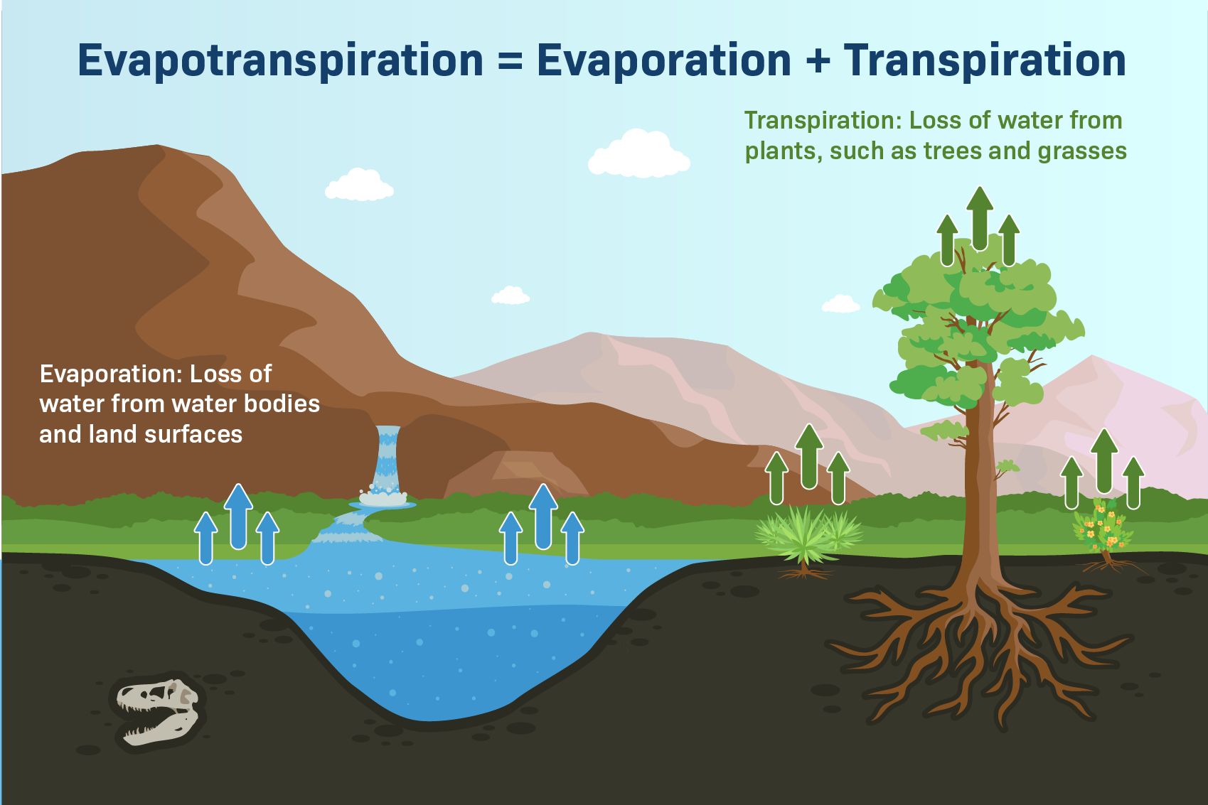 29 Fakta Om Evapotranspiration