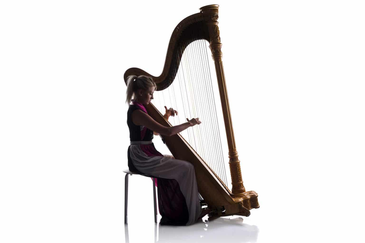 29 Fakta Om Harpe