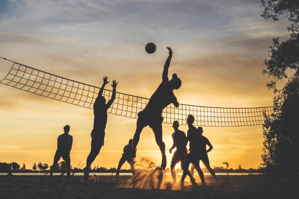 30 Fakta Om Volleyball