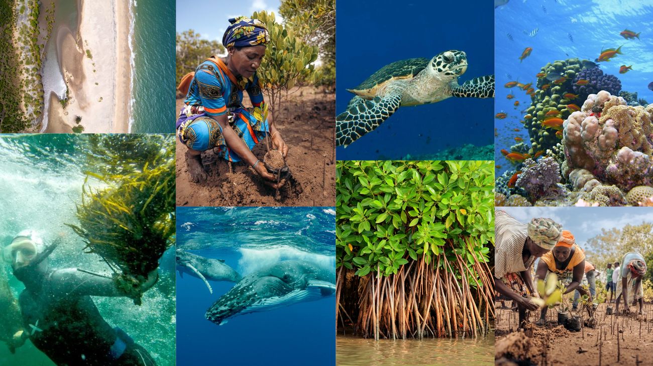 36 Fakta Om Biodiversitet
