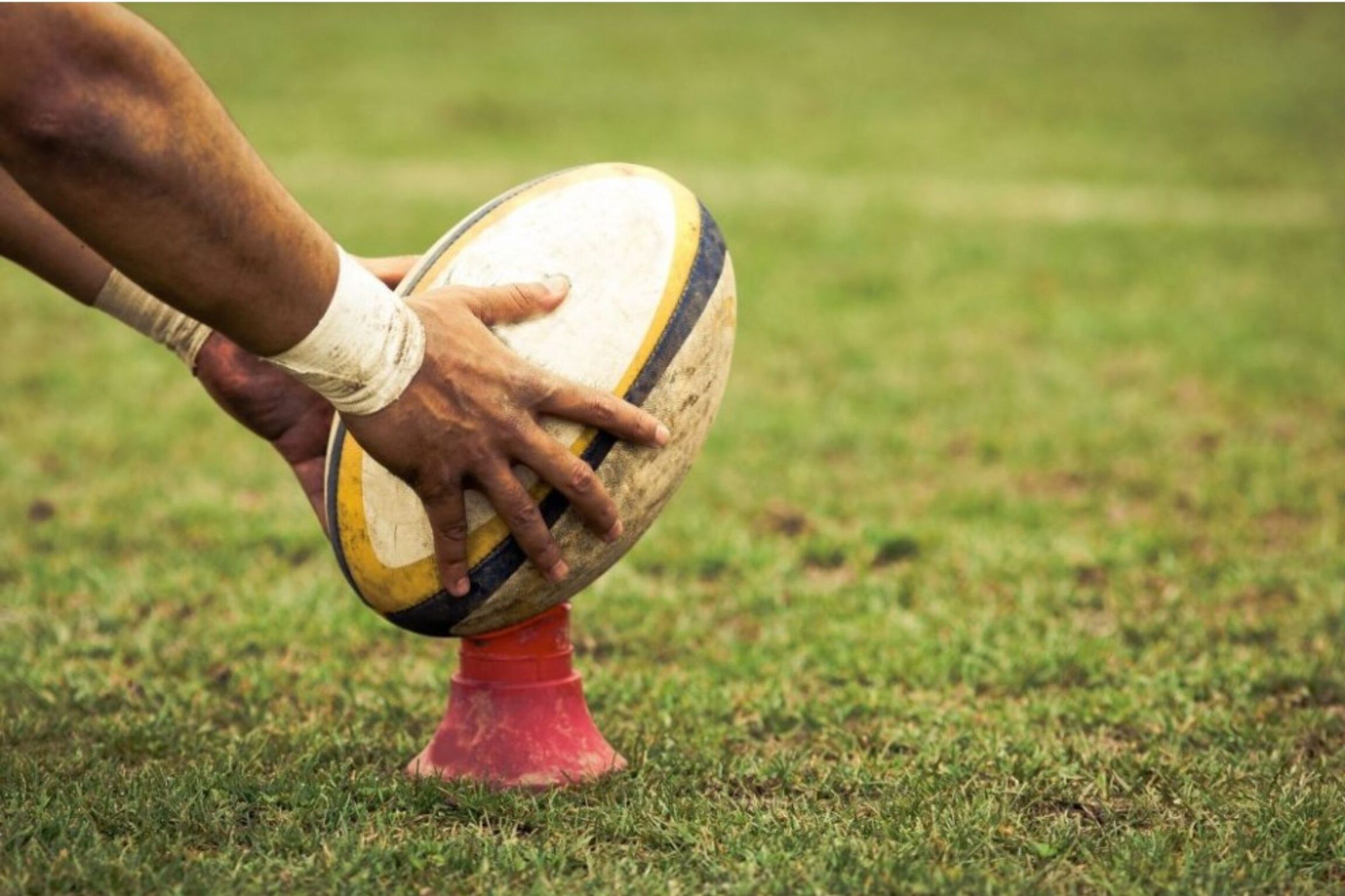36 Fakta Om Rugby