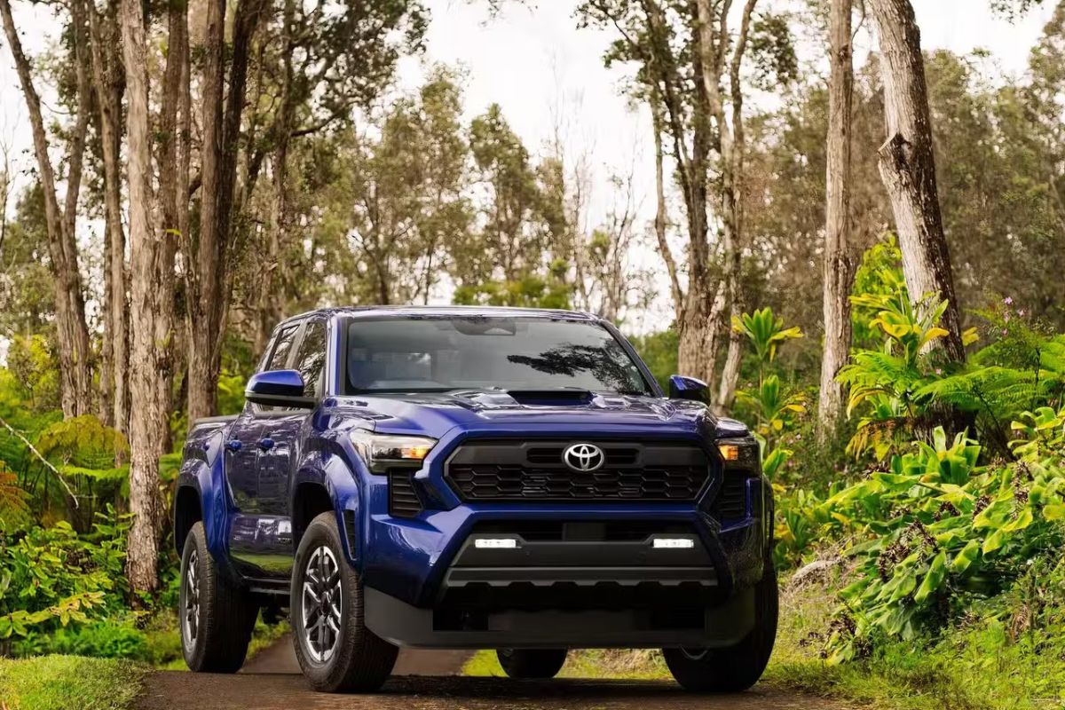 40 Fakta Om Toyota Tacoma