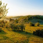 30 Fakta Om Dansk Natur 