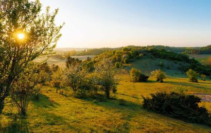 30 Fakta Om Dansk Natur 