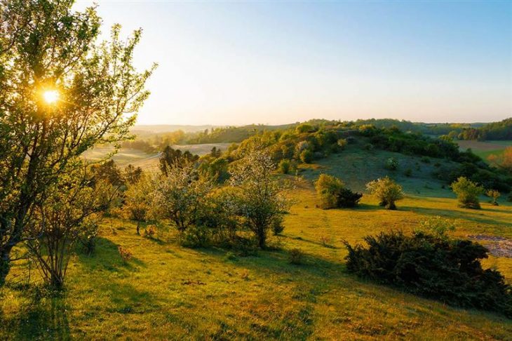 30 Fakta Om Dansk Natur